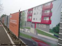 Imagine atasata: Vivalia - Bulbuca - 2015.11.08 - 06.jpg